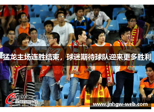 猛龙主场连胜结束，球迷期待球队迎来更多胜利